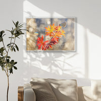 PW-093W062