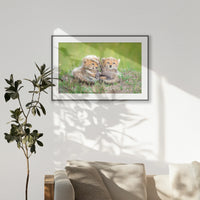 PBP120W080