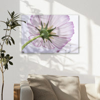 AL-030W020