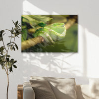 AL-060W040