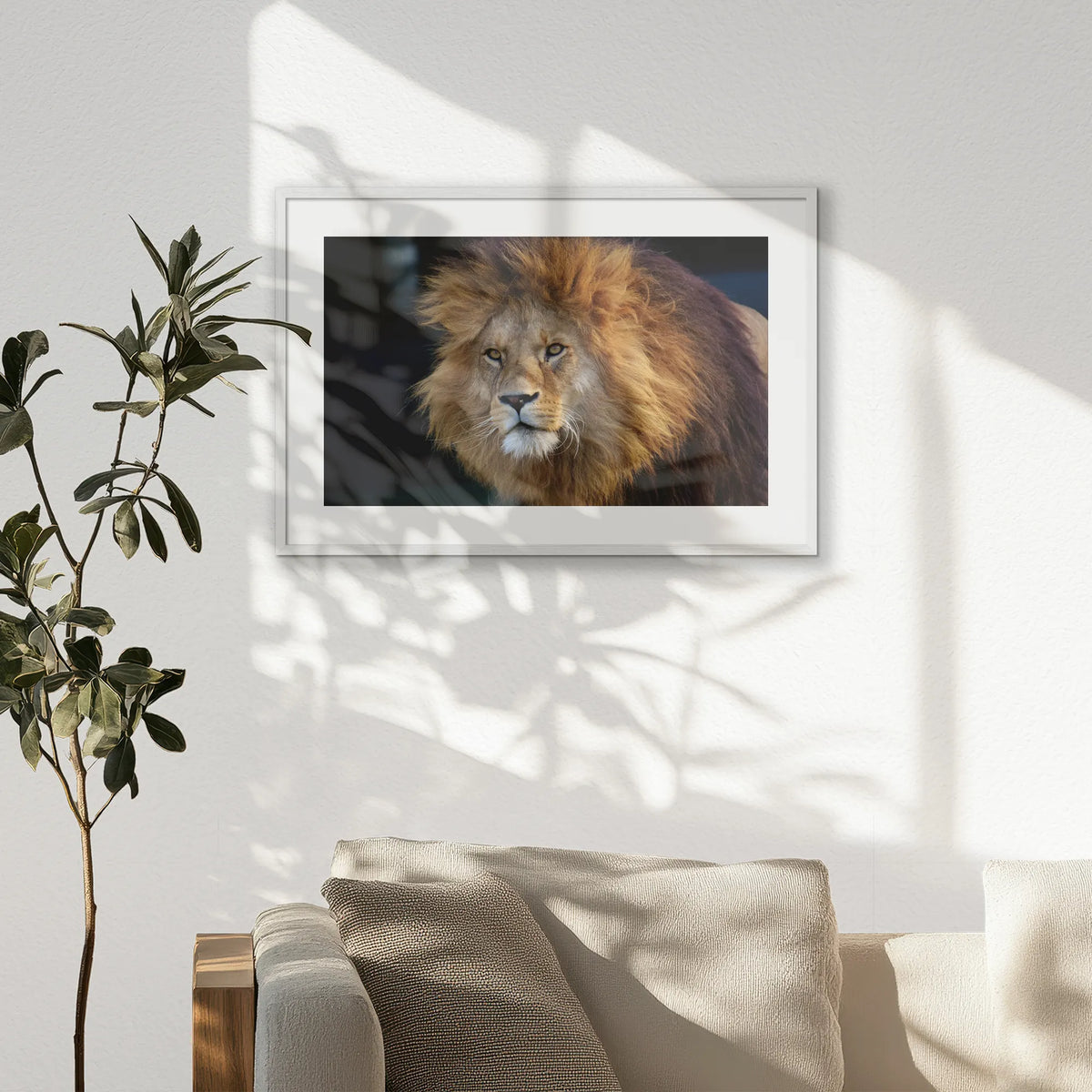 PWP093W062