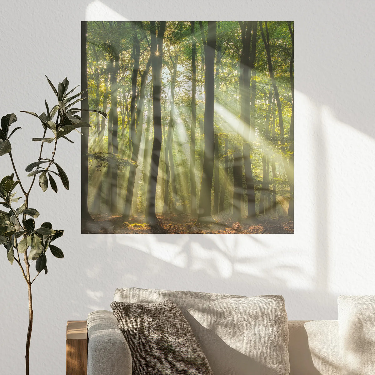 PO-060W060