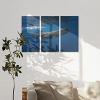 AC-120R080
