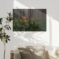AL-075W050