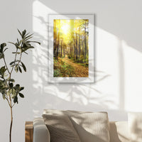 PSP062W093