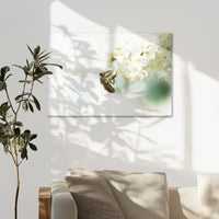 AC-075W050