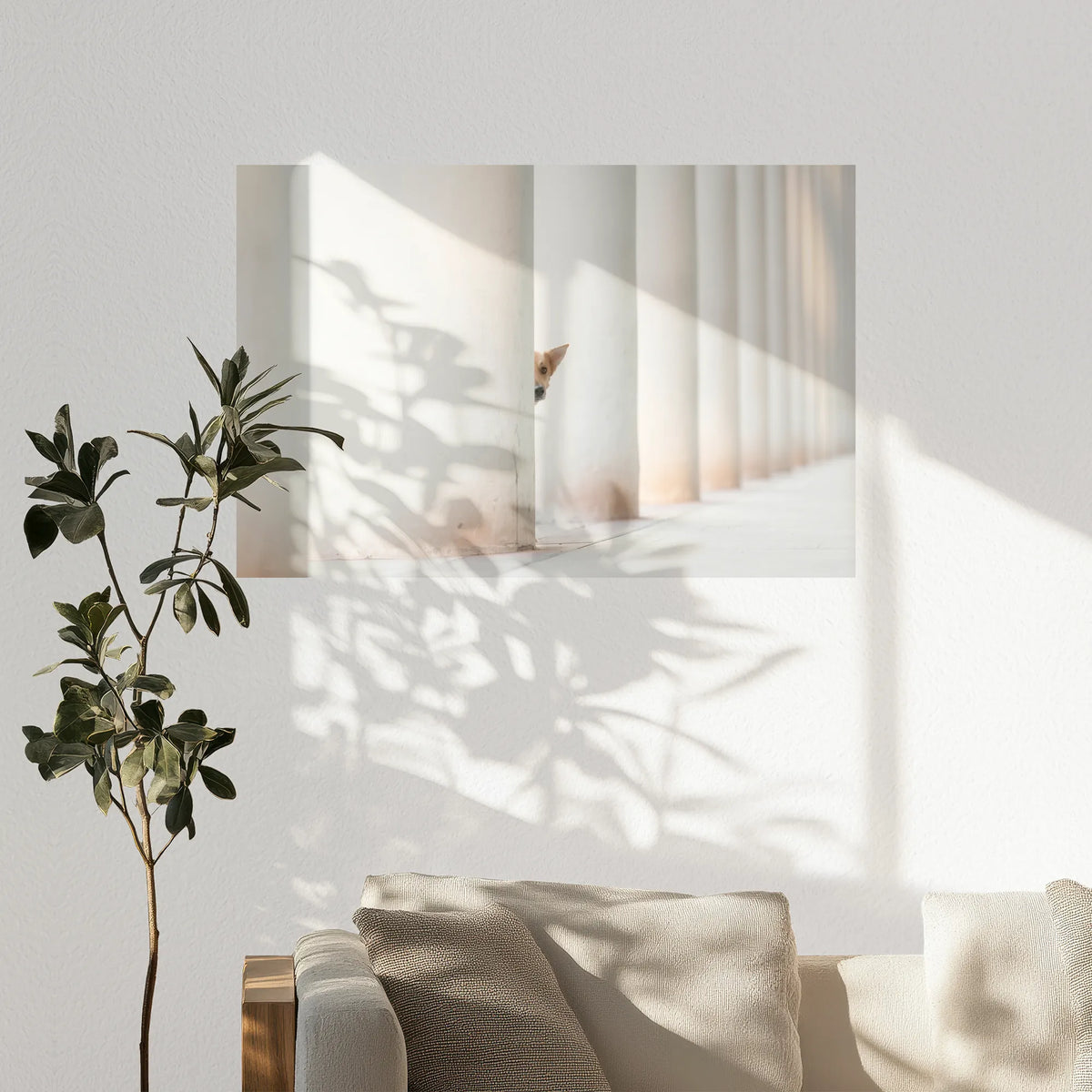 PO-120W080