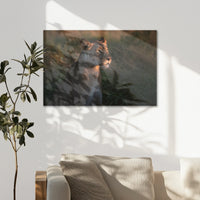 AC-075W050
