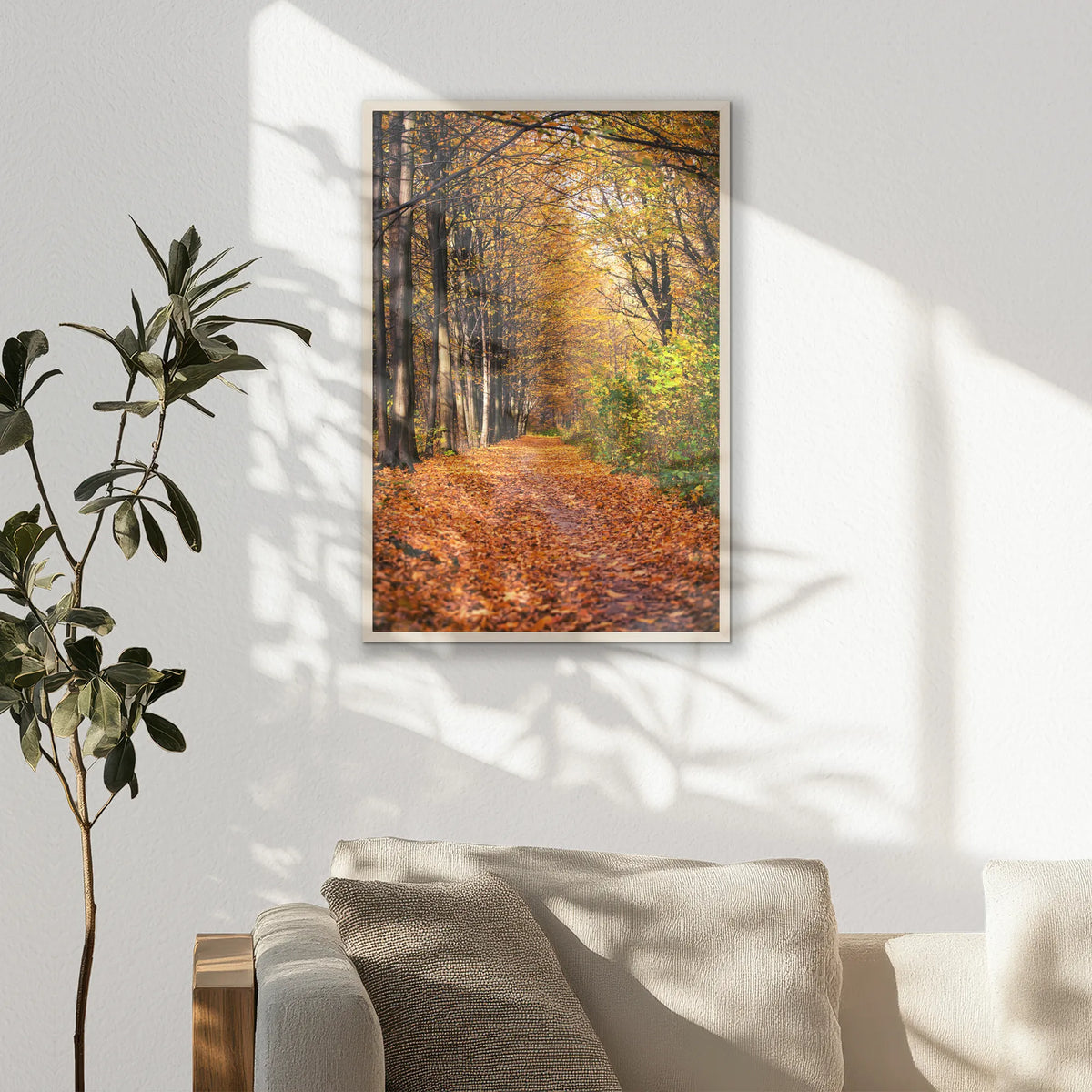 PN-062W093