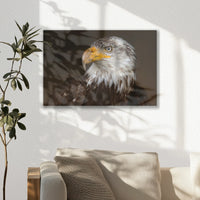 LW-045W030