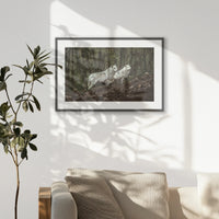 PKP093W062