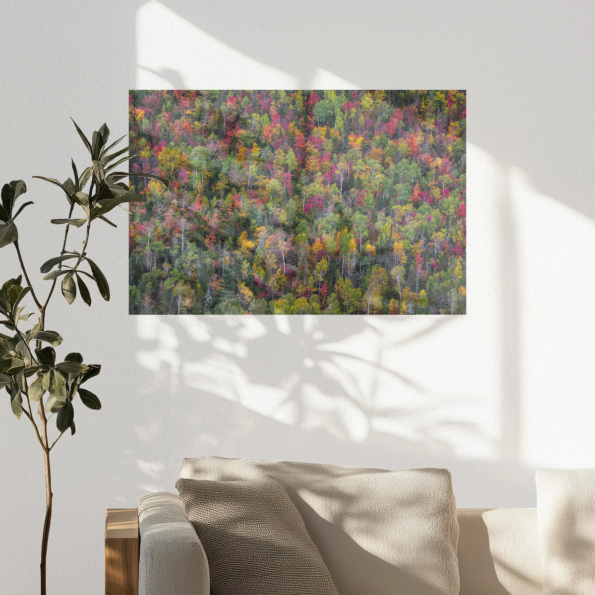PO-090W060