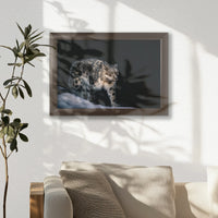 LWN030W020