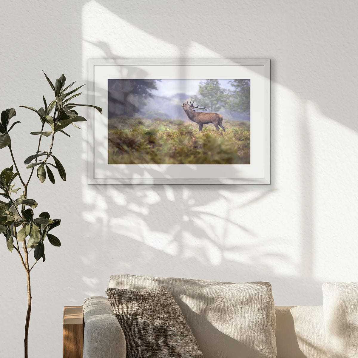 PWP060W040
