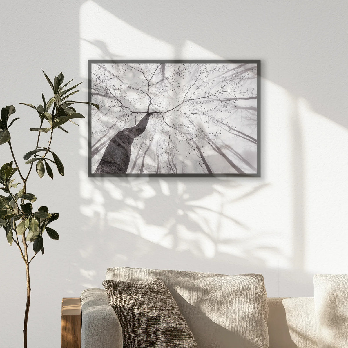 PK-093W062