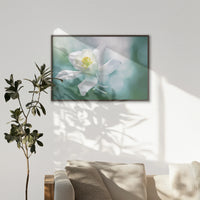 LWN120W080