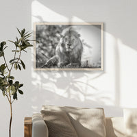 PN-060W040